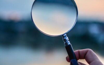 Fee Protection Insurance