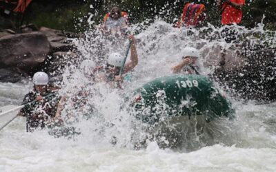 Cash Flow: How to avoid the rapids