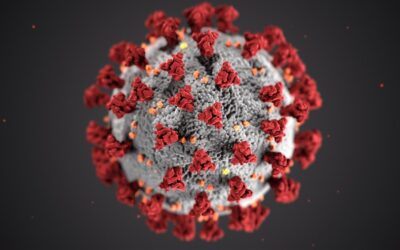 Coronavirus and my cashflow