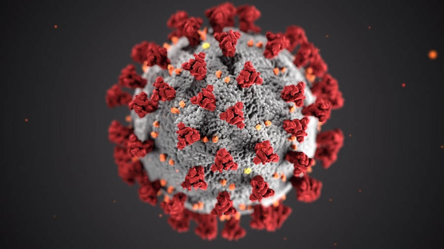 Coronavirus and my cashflow