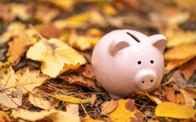 Autumn budget – key takeaways and actions for agency owners.