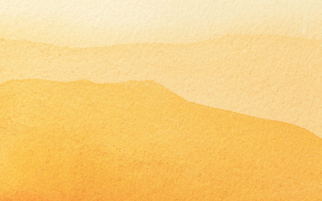 5 ways to become a better financial leader when running your own agency