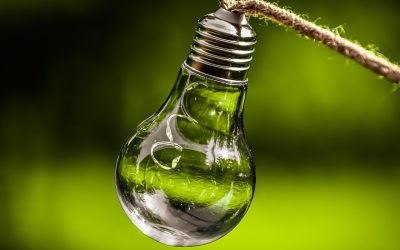 Banking with a Conscience: Why ethical banking matters for your business