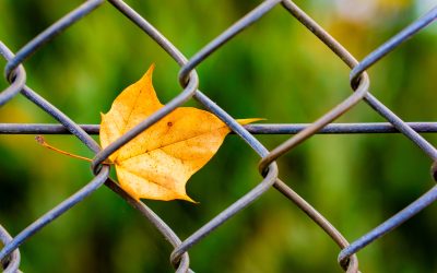 Why having a cash buffer is a business lifesaver