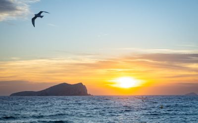 Why Would an Accountant Attend a Conference for Agency Owners in Ibiza?